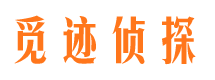 温岭外遇调查取证